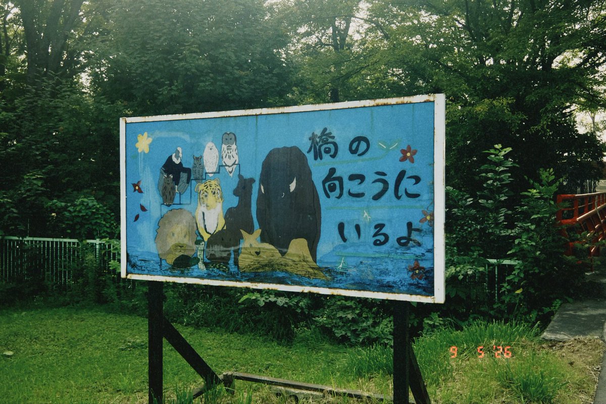 raicho926's tweet photo. 今日でシルバーウィーク終わりとのこと。
私は仕事です🥹

今は北のまんが大賞への応募作品と、
クリコレへの応募作品を同時並行で制作中。

クリコレはここ最近、選考に漏れ続けているので、今回こそ頑張りたい…！✊🏻

写真はこないだ行った帯広動物園🦁
落ち着いたらレポ的なものも描きたいな〜🖌️ https://t.co/WqDeMbgo03