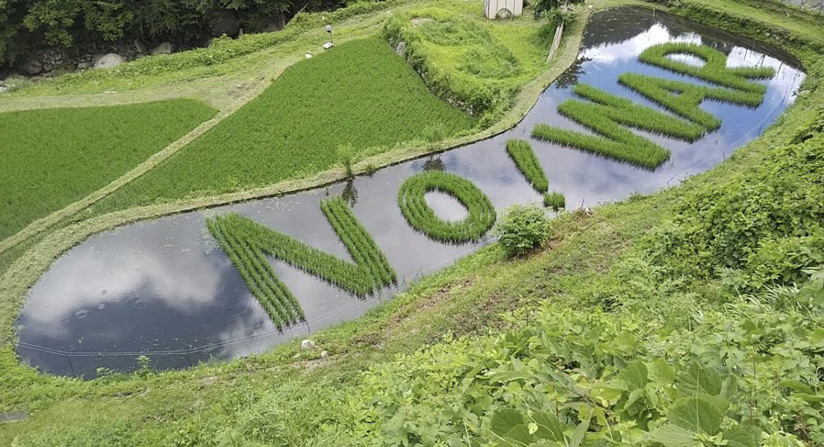 kanai87's tweet photo. すご〜い！！長野県南木曽町　日本共産党の坂本満議員の田んぼ。
「稲の種類の違いを利用した田んぼアートは話題になることが多いけど、稲刈り時期の作品も素敵」と思ったら、稲刈り前からの作品だったんですね。ブラボー！！！ https://t.co/b0nHpj7DZj