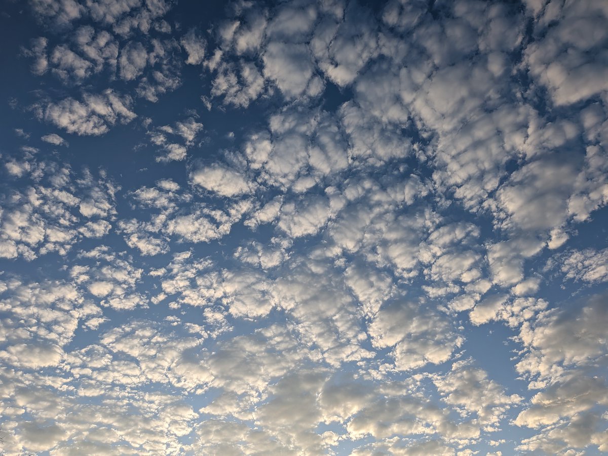 yasuog56's tweet photo. おはようございます😃気持ちの良い朝ですねぇ〜🍀😆✨

#青い空　　#白い雲 https://t.co/SLpQhqaEL7