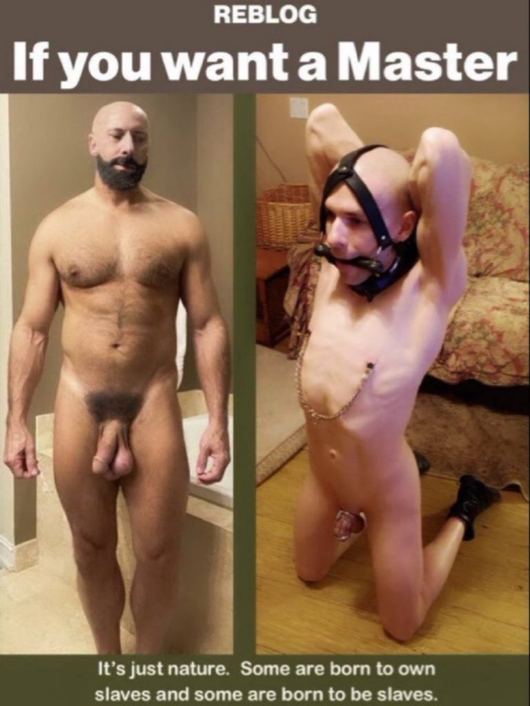 bashMcC's tweet photo. Hey I’m so horny and high feeling really naughty and submissive needing a Dominant top to use and abuse me. Want a master.
26m chubby bottom fag 
#gay #chubby #fag #submissive #bottom https://t.co/aRkJvBoFLi