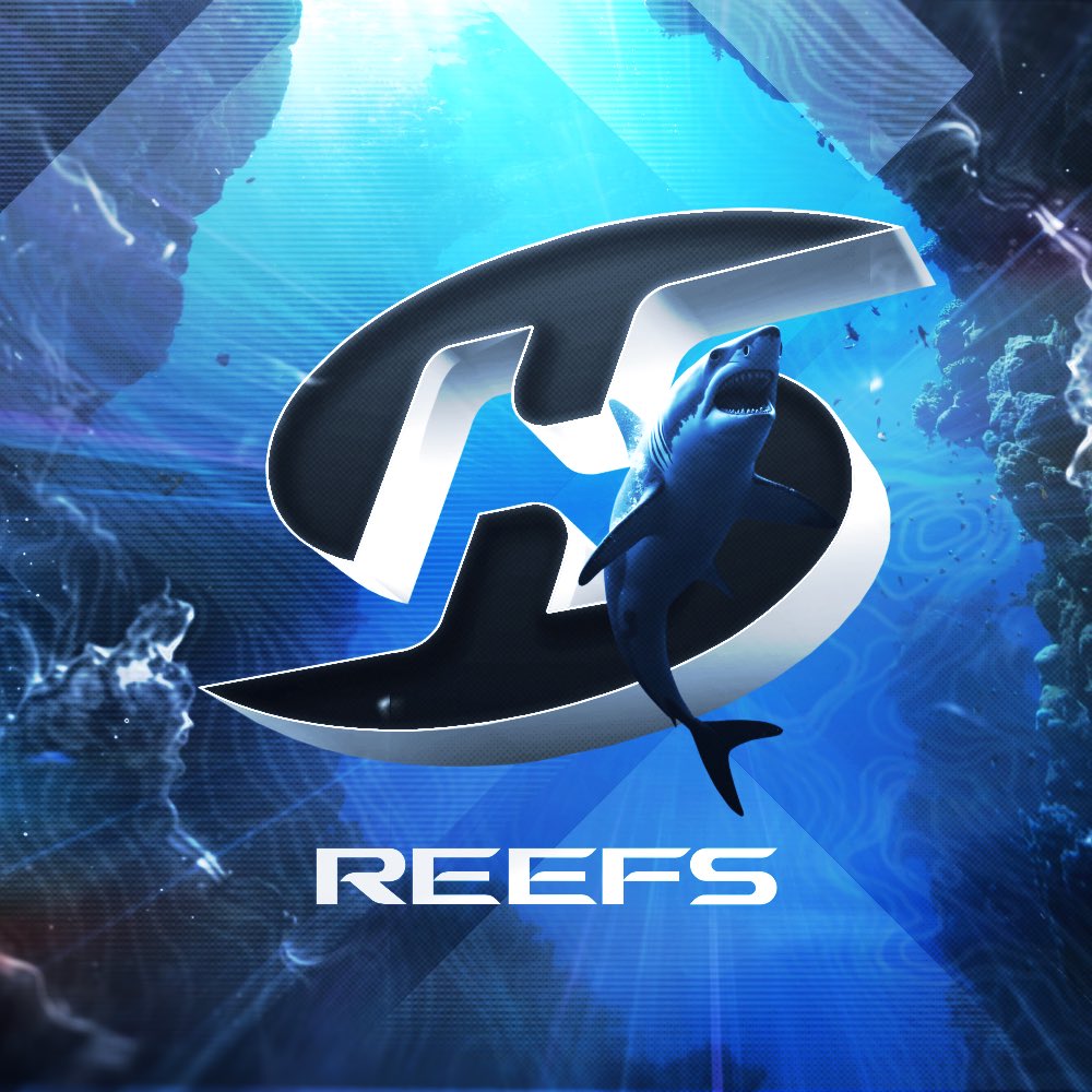Reefdoh tweet picture