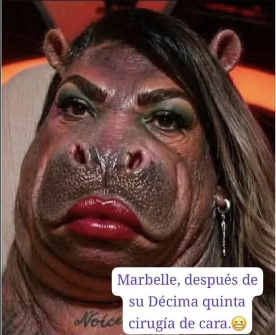 XPost1A's tweet photo. Jajaja... https://t.co/Bbgra4Iill