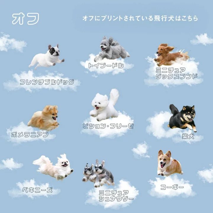 coco_home__'s tweet photo. 犬が飛んでる傘…あまりにも可愛すぎる🐩☁️ https://t.co/mZMkzdoKKa