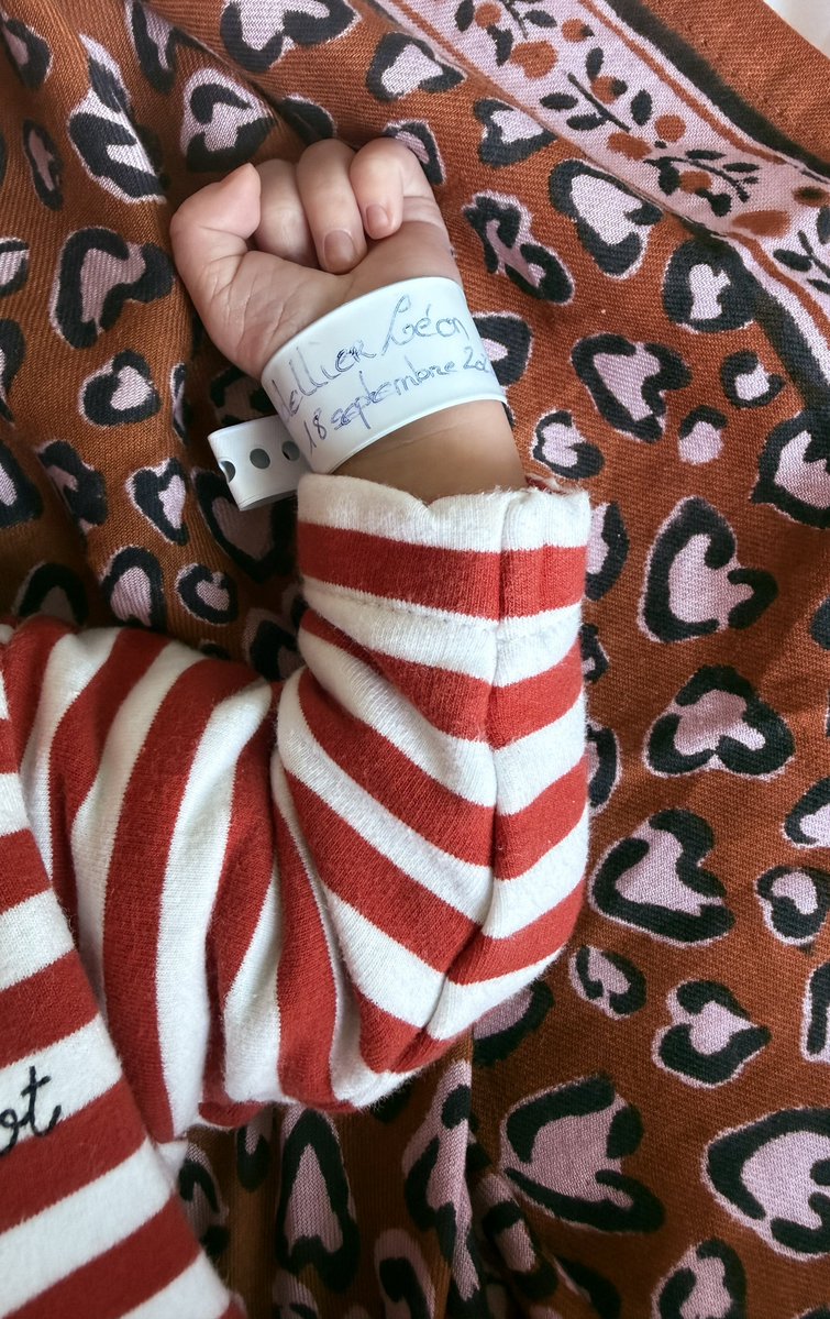 marinetondelier's tweet photo. Et puis, il y a eu Léon. 💚

Léon est né le vendredi 18 septembre 2026 à Lens.
Et tout le monde va très bien !
(Je précise que lorsque nous avons choisi ce prénom il y a longtemps, on ne savait rien de la venue du pape en France ;)

J’avoue, on a profité de son arrivée un peu en avance pour garder quelques jours cette belle nouvelle rien que pour nous et préserver une parenthèse magique en famille.
Merci en tout cas à l’incroyable équipe de la maternité du Centre Hospitalier de Lens. Et que vive l’hôpital public !

Dans les semaines qui viennent, nous allons devoir être inventifs pour concilier une campagne présidentielle, le quotidien avec un nouveau-né et notre santé à tous les deux, qui va primer.

Cette campagne sera d’ailleurs l’occasion, en plus de tout le reste, de parler du pays à hauteur d’enfants que nous voulons inventer.
On se demande souvent en tant qu’écologistes quelle planète nous laisserons à nos enfants. Mais quels enfants laisserons-nous aussi à notre planète ?

Pour celles et ceux que ça intéresse, nous avons dédié la semaine dernière un livret de réflexions et de propositions à ce sujet.

On parlera bien entendu aussi de santé reproductive comme j’avais commencé à le faire à l’annonce de ma grossesse en évoquant l’infertilité – qui touche 1 couple sur 5 en France – et notre parcours PMA.

Oui, ces sujets sont politiques et tous les candidats devraient s’en saisir.

Le sujet du post-partum est notamment un véritable impensé. Selon Santé Publique France, 1 femme sur 3 est en situation de souffrance psychique 2 mois après son accouchement. Et alors, on fait quoi ?

Eh bien là aussi, nous avons des propositions dédiées pour après la naissance dans un plan intitulé « des soins, du temps et des bras ». C’est inédit en politique. Pourquoi ? Je ne vous en dis pas plus, on en reparlera !

En attendant, il parait qu’il y a une marche climat samedi ?
Il se trouve que pour la première, en décembre 2018, j’étais à la maternité suite à la naissance de mon premier fils.
Je l’avais suivie à distance avec émotion, sentant qu’il se passait quelque chose…
Cette fois-ci, qui sait, si on est en forme, on y sera peut-être (mais pas loin de la maison) 🌻.
À samedi ?