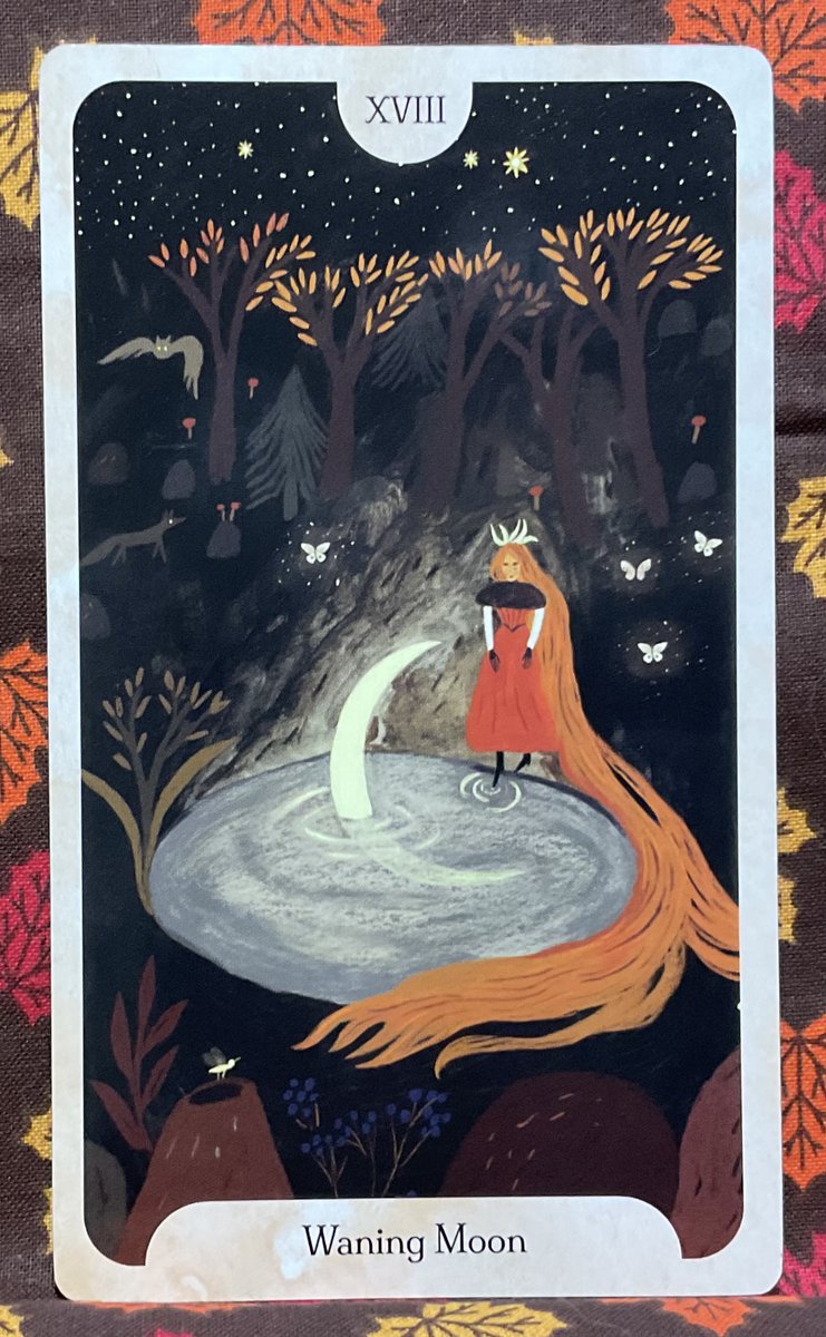 tftTarot4today's tweet photo. Hi everyone! If seeing is not believing & you’re not sure you can trust what you’re hearing, the Moon wants you to take a deep dive within & trust your gut to get to the bottom of it. Here’s the Tarot for Tomorrow, Wednesday, September 23, 2026. #tarot #dailytarot #TarotReading https://t.co/LBtZUPKiXk