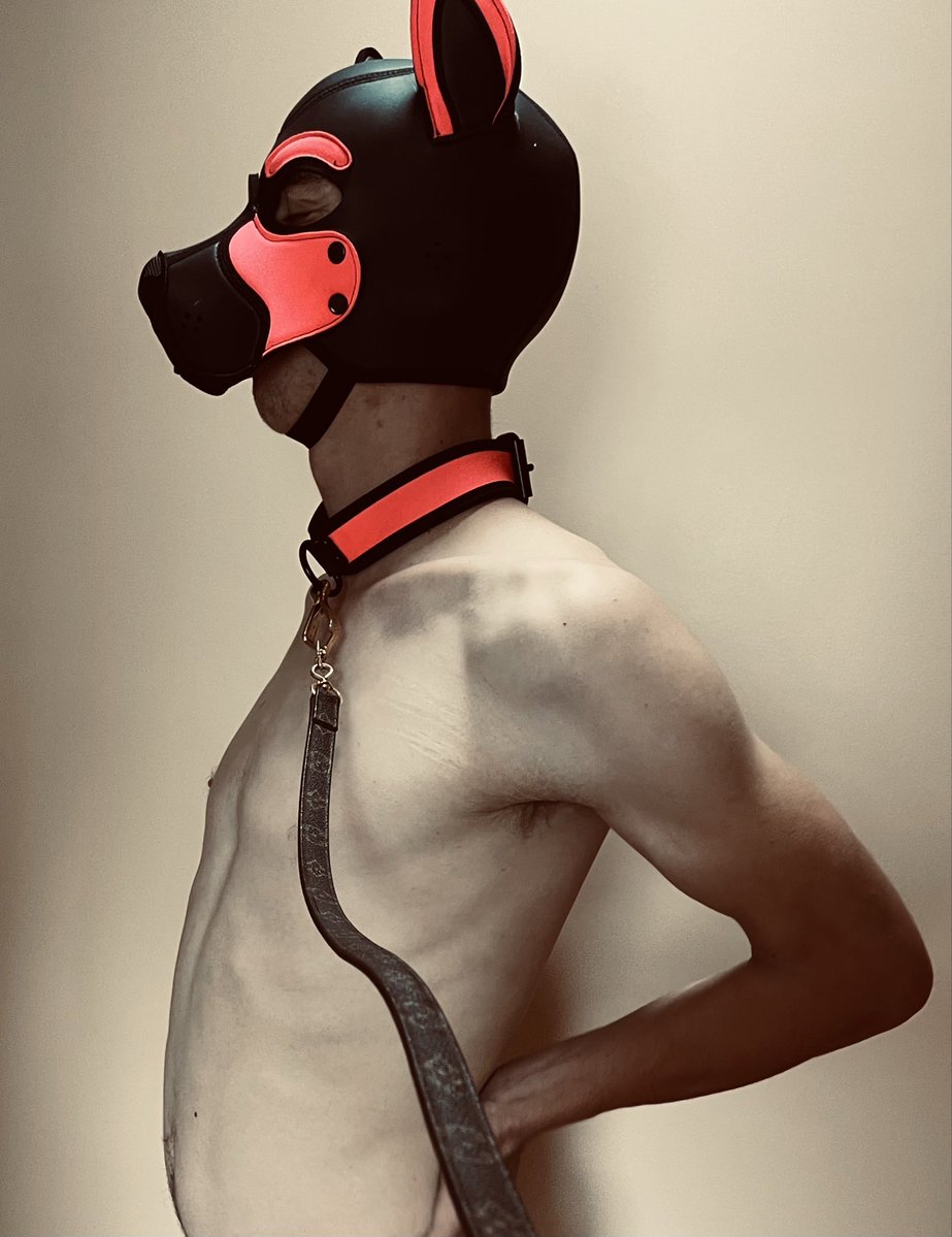 MasterMKsf's tweet photo. My 26yrs old sub pup boi just came in this afternoon and ask @masterMKsf for his approval about his Folsom street new leather pup outfit. Master rewarded him with Louis Vuitton custom-made leather leash,highlighting the whole festival #LouisVuitton,#pup,#subboy,#leatheroutfit,#folsomfair,#hungstud,#Fistfuckboy.