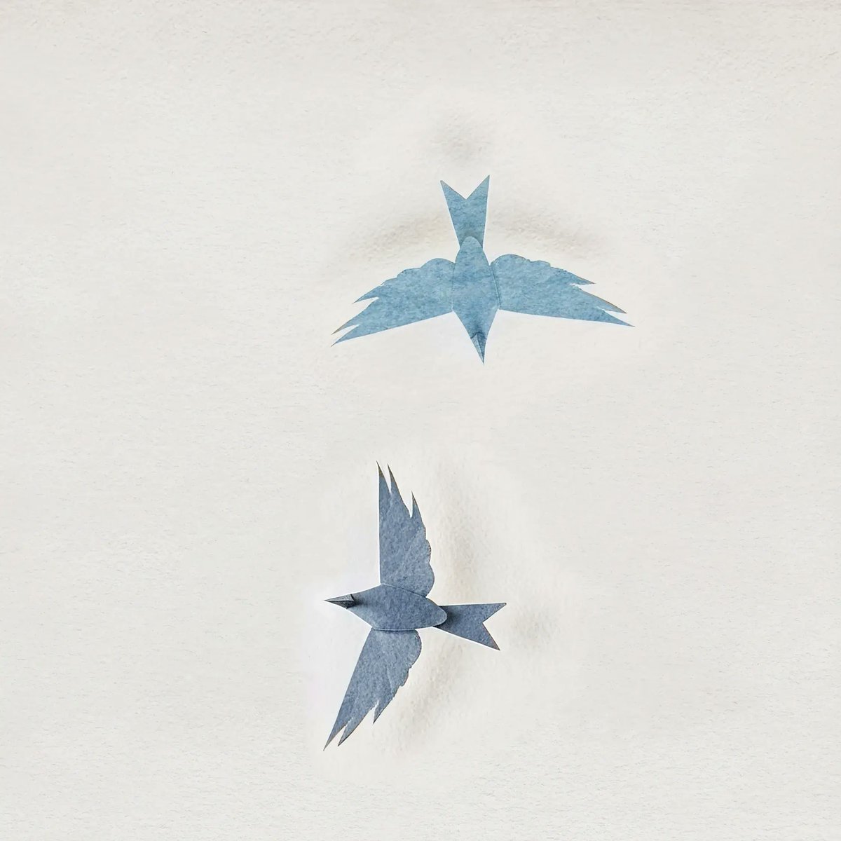 susamishin's tweet photo. しんちゃんは Paper Birds - #Raban をいま聴いているよ!
#NowPlaying
#YouTubeMusic https://t.co/YkC1OmeiJv