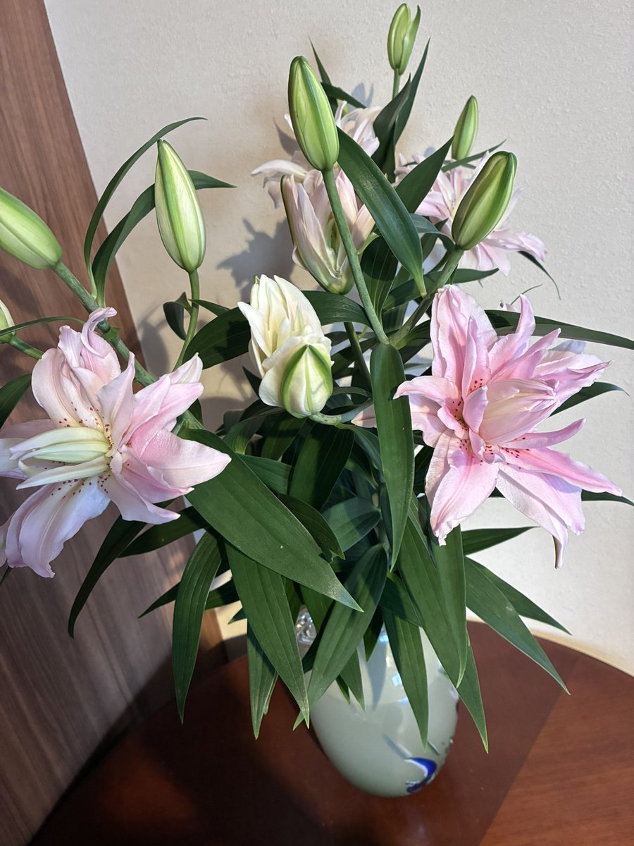 yokomama58's tweet photo. おはよ( ＾∀＾)本日もよろしくお願いします。 https://t.co/TcOviLt463
