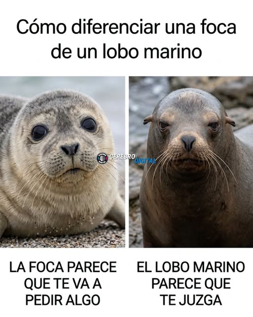 gutiramiro02's tweet photo. https://t.co/w50sq6oNNA