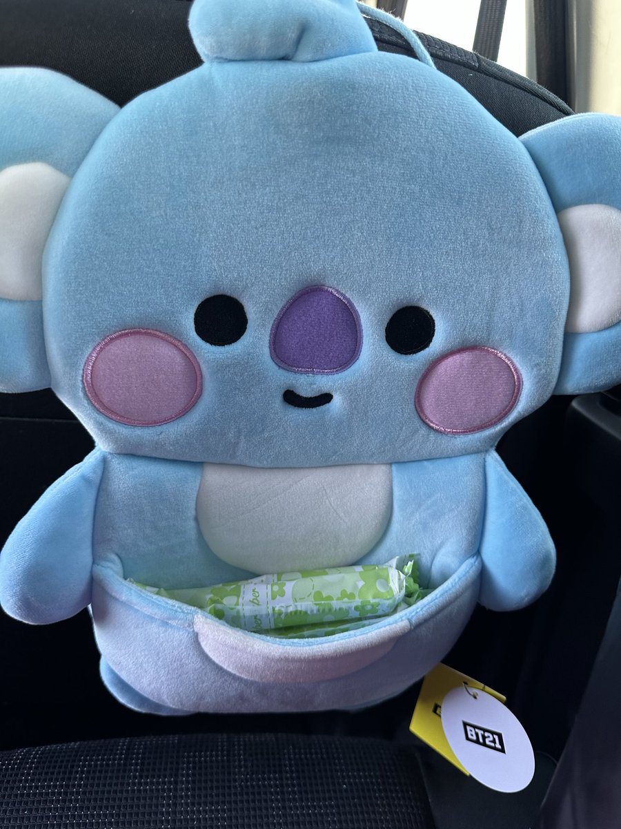blondvhope's tweet photo. in my car tata and koya have tampons if anyone needs one https://t.co/bmz1ekL84q