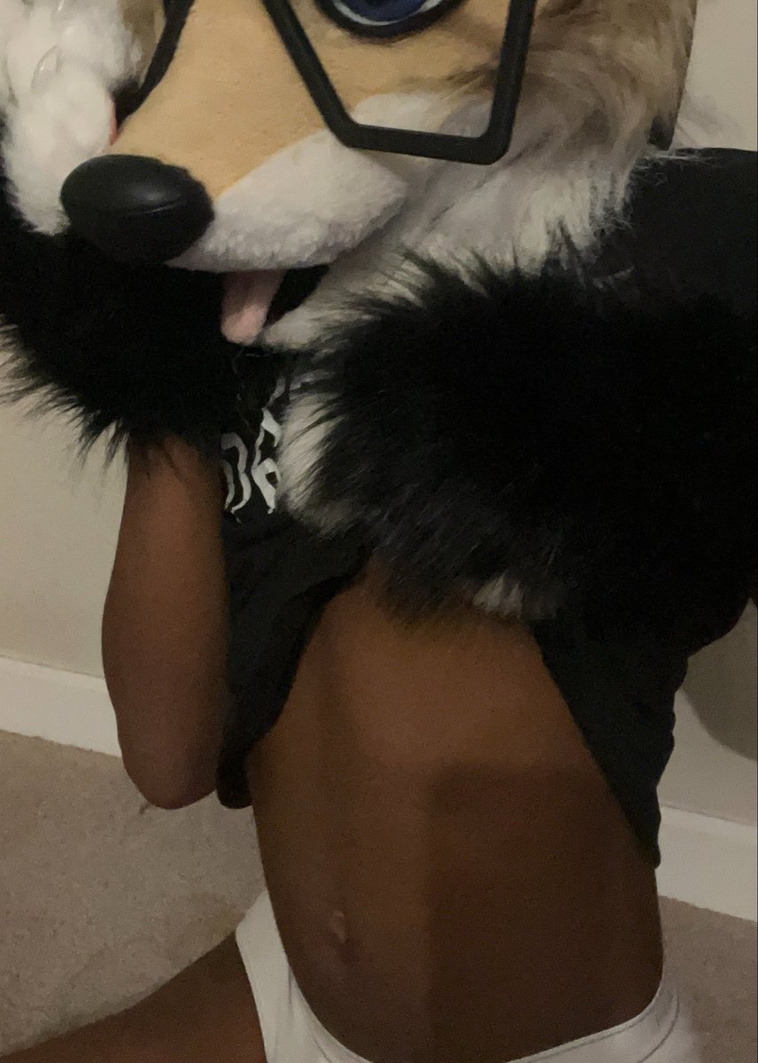 xyzthefoxy_AD's tweet photo. Since its tummy tuesday im gonna bless ur tl with some dog boy tummy https://t.co/OPhKPK6zb5
