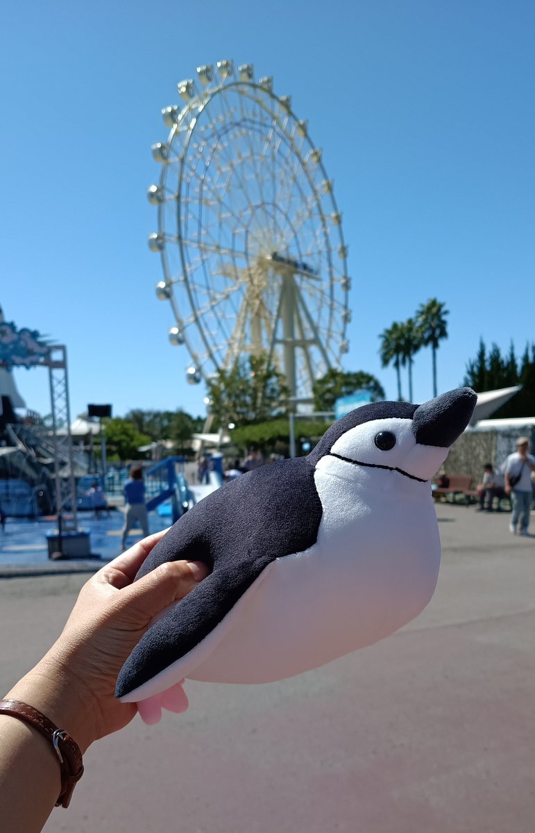 chillsan1's tweet photo. ヒゲペンさんお迎えしました〜🐧✨️
お気に入り☺️��️
#アドベンチャーワールド https://t.co/nh12t2LcqK