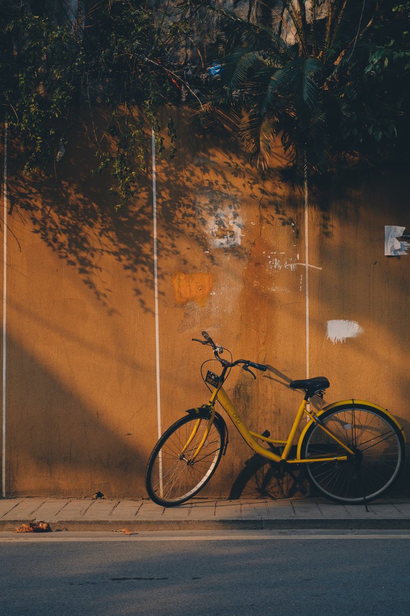 HeidiLibrizu's tweet photo. A random sun-dappled street corner, a bike parked against a brick wall, and the soft hum of a weekend afternoon—small, perfect little moments I almost missed. https://t.co/KGw9Jl09hk