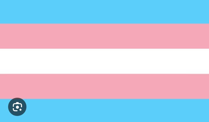 OtterMonarch's tweet photo. I am happy to proudly announce that these are my flags! :3
#Trans #Femboy #LGBTQ #Demisexual #Panromantic https://t.co/mvBiFSrx1q