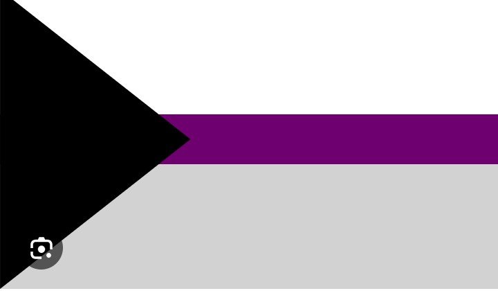 OtterMonarch's tweet photo. I am happy to proudly announce that these are my flags! :3
#Trans #Femboy #LGBTQ #Demisexual #Panromantic https://t.co/mvBiFSrx1q