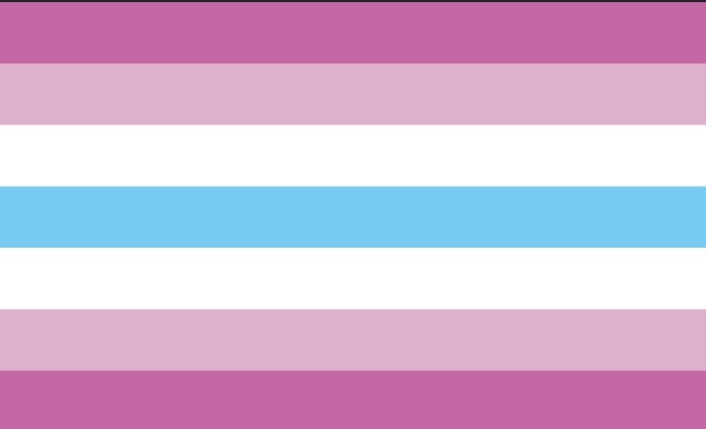 OtterMonarch's tweet photo. I am happy to proudly announce that these are my flags! :3
#Trans #Femboy #LGBTQ #Demisexual #Panromantic https://t.co/mvBiFSrx1q