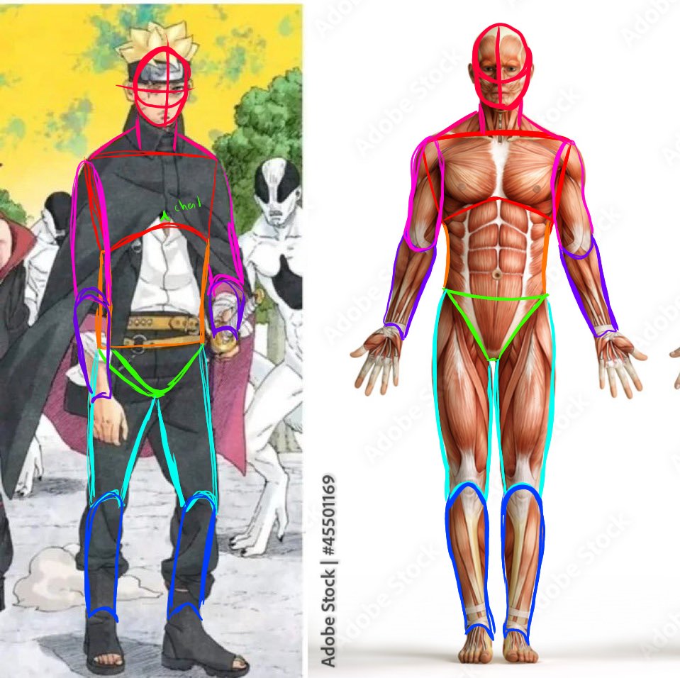 tsuuiik's tweet photo. @Spyystuk @borutomomo Not really, if we really look a the atanomy some parts are way too long, and noruto also wear baggy clothe mean hd have some space towards members https://t.co/pO8qZRsHNM