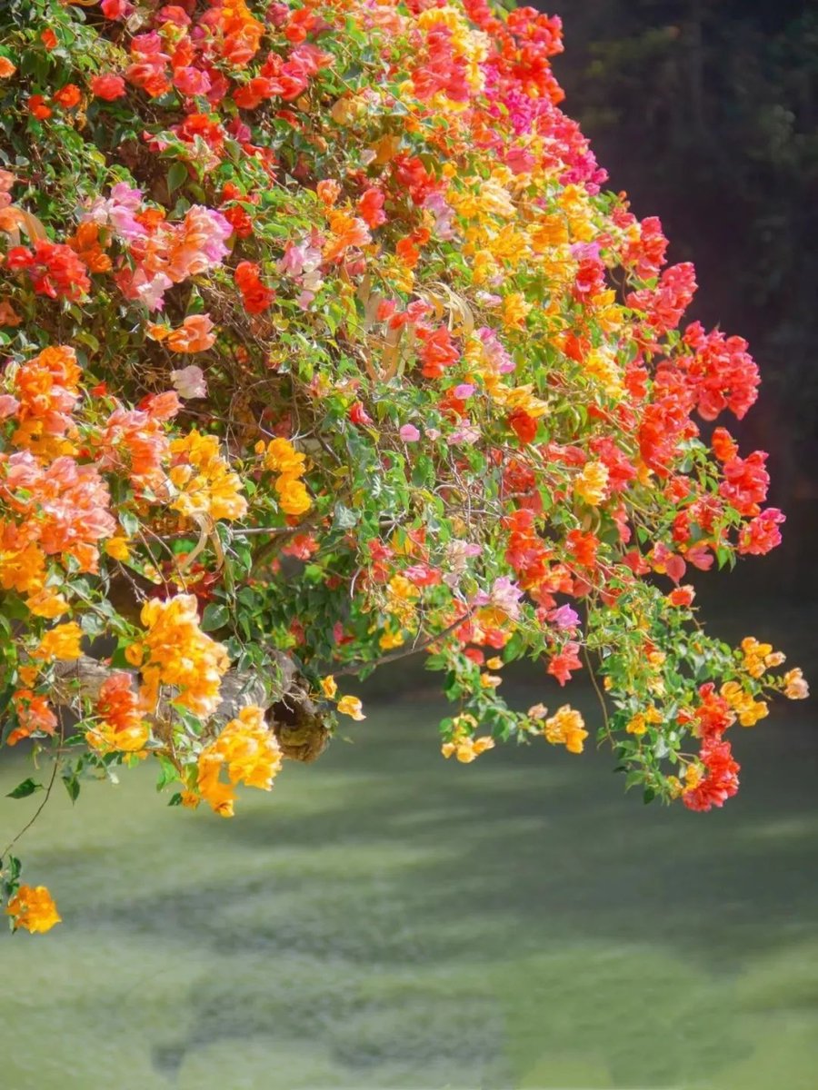 SundayGebaqgp's tweet photo. Immerse yourself in watercolor art—blending color, light u0026 emotion in every brushstroke. Your 5-minute creative escape starts here. https://t.co/0XtknfoERc