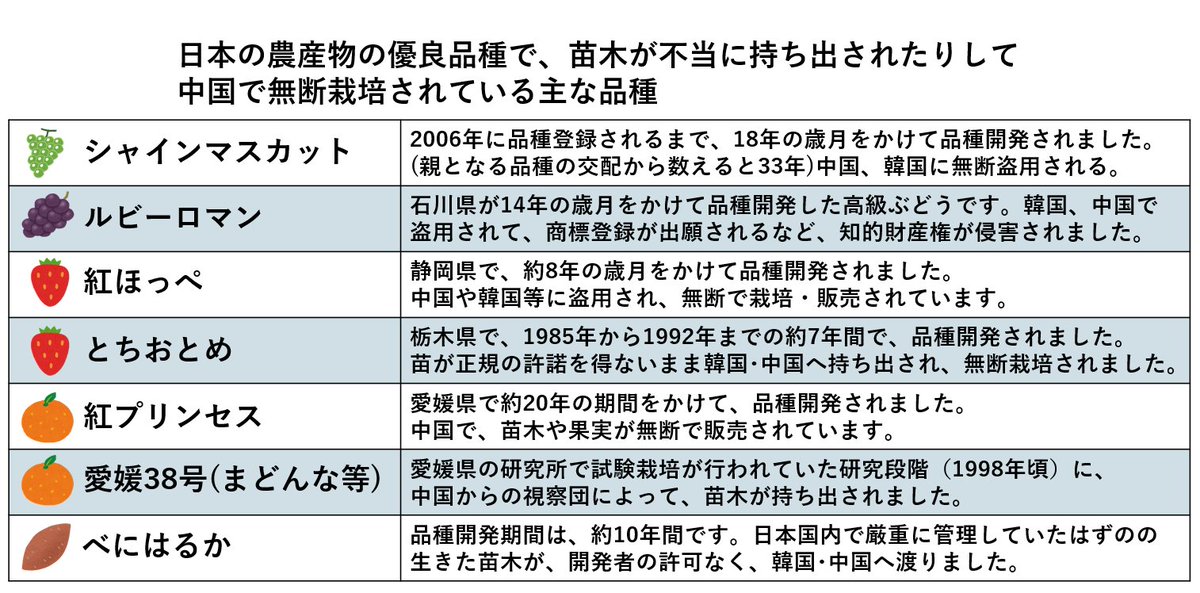 cookelderinq's tweet photo. 中国と韓国は、以前から日本で品種改良された農作物を不正に盗用しています。
この件に関して、中国人は日本は漢字や文化を盗用したと論点ずらししてきたりします。
お土産を持っていき、中国朝廷に許可を得て教授されたり、大陸から戦乱を逃れて渡来した人が日本に持ち込んだ漢字等の文化と、日本の農家や研究者が長い時間と労力、お金を費やして品種改良した知的財産を同じに考えているとしたら、中国人はルールを守らない人種と言われても仕方がないと思う。