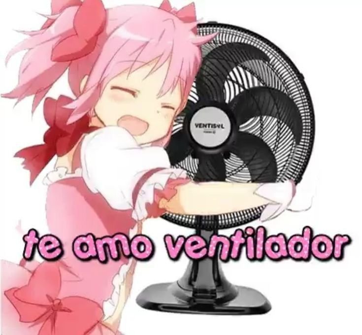 maqueso69's tweet photo. En unos meses más 🩷 https://t.co/uwYc6apg5Y