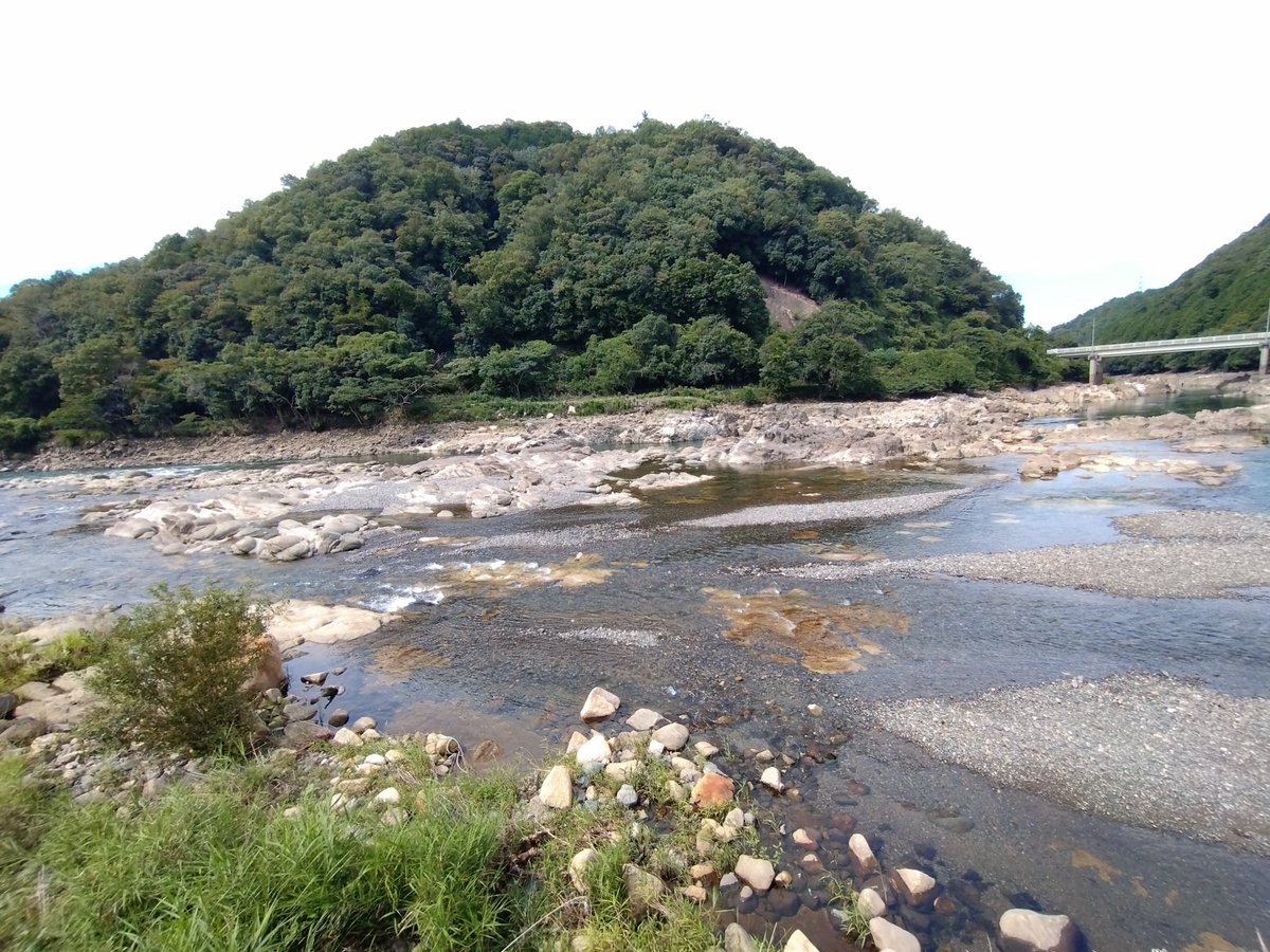 photpush's tweet photo. 滋賀ブラリ
石山の先の瀬田川沿にある、佐久奈度神社にお詣りに行ってきた。神道の大祓詞にある四柱の大神が祀られているということで行ってきました。罪穢れが打祓えたかな？ https://t.co/QWfbRrj23F