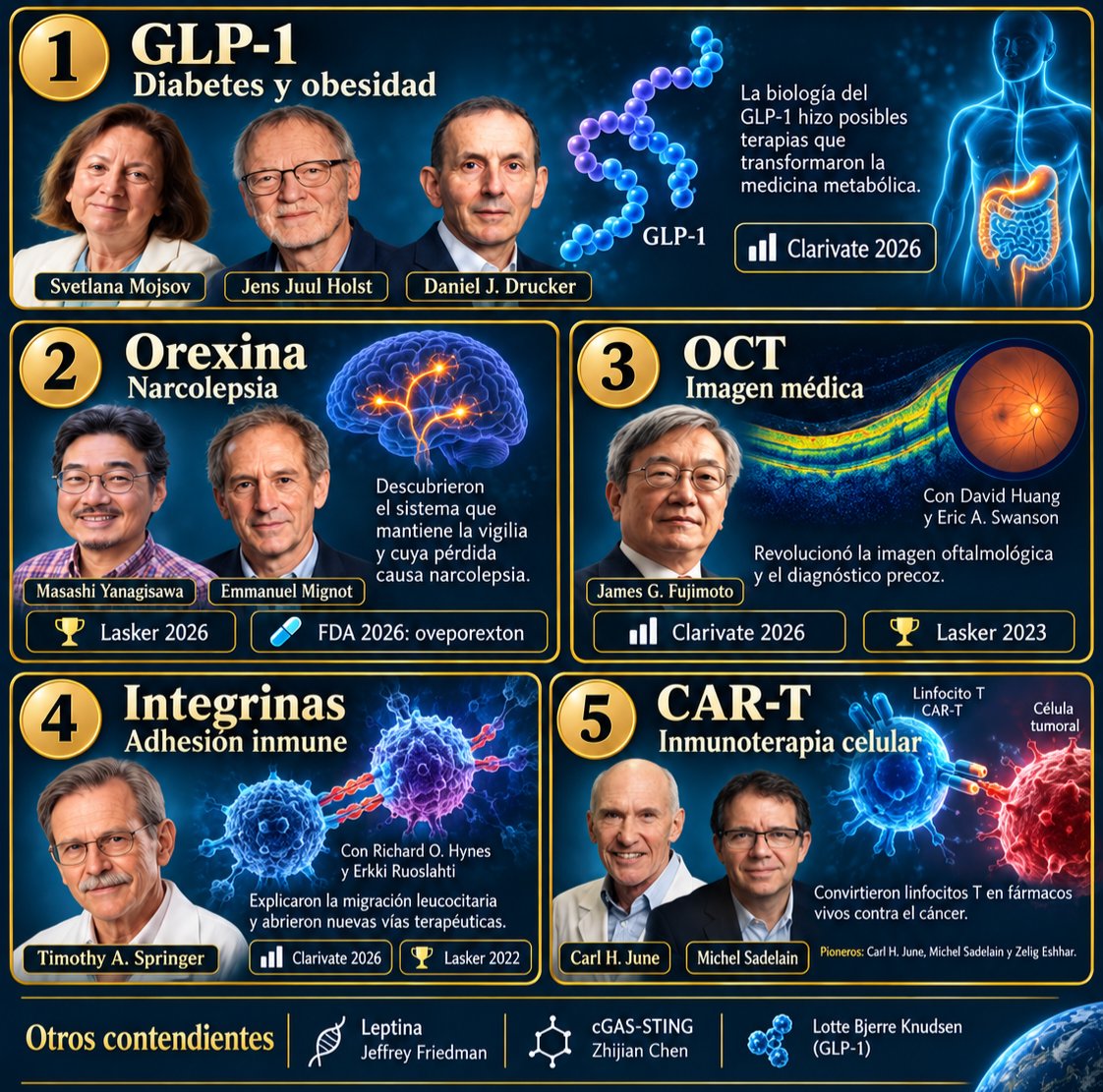 almagoch's tweet photo. Los favoritos para ganar el @NobelPrize de #Medicina el próximo 5 de octubre: 
1️⃣ GLP-1 y revolución metabólica
2️⃣ Orexina y narcolepsia
3️⃣ Tomografía de coherencia óptica (OCT)
4️⃣ Integrinas y adhesión inmune
5️⃣ Terapia CAR-T
#PremioNobel #Nobel2026 #Medicina #Investigación https://t.co/mO5Jj7BTTv