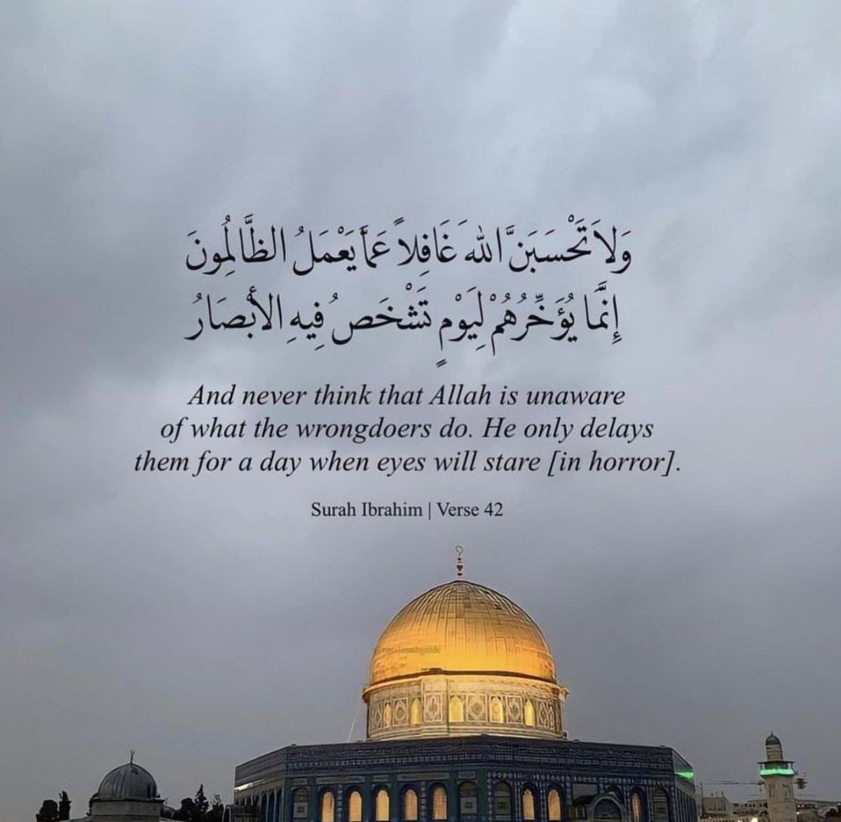 asmo097's tweet photo. مدوا عدوك بالمال والسلاح والغذاء والمحروقات وكل شيء، منعوا أبناء آدم من دعمك أو التعاطف معك وحاربوهم، منعوهم حتى من الخروج للشوارع
ثم بدأ هجومهم بأحرف أكبر منهم لكن بالوقت الأخير من أنفاسك
بأحرف قليلة نصروك وبأحرف أكثر هجوك.أخوانك لكن لأعدائك وبراءة لكل أعدائك

قتل المحتلين عبادة https://t.co/pk1Y902u60