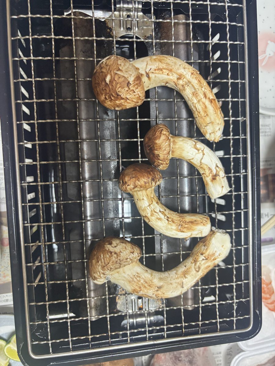 fuwanim's tweet photo. 美味しかったんやで🤤 https://t.co/8gqtprHBxR