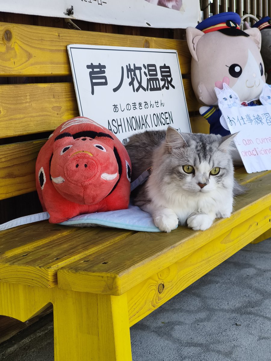 ashinomakionsen's tweet photo. おはようございます♪
そらくん、定時列車とお客様のお見送りを致しました♪ https://t.co/QwodDPCwUW
