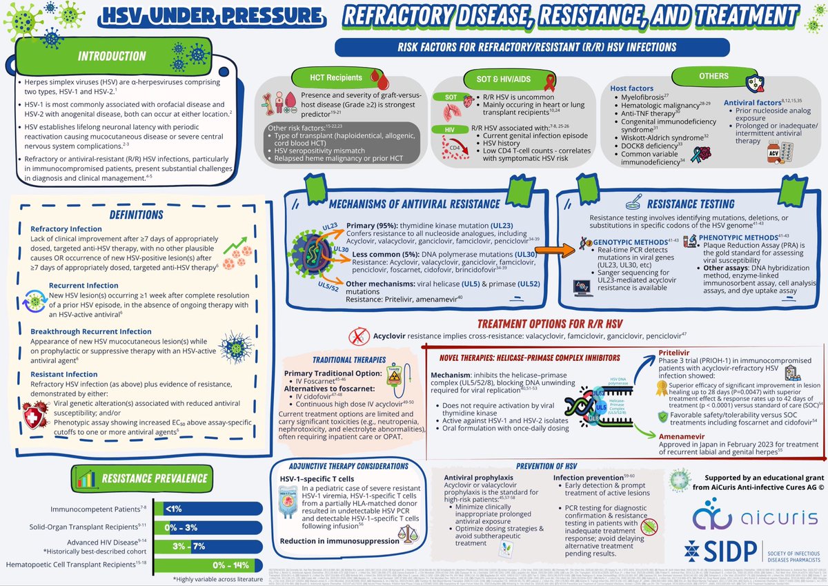 SIDPharm's tweet photo. Think you know HSV? Take a closer look 🔍 This infographic reviews the management of resistant and refractory HSV! Developed by SIDP member, Nikki Tran, sponsored by AiCuris US, Inc. https://t.co/xWFYlwtdD1