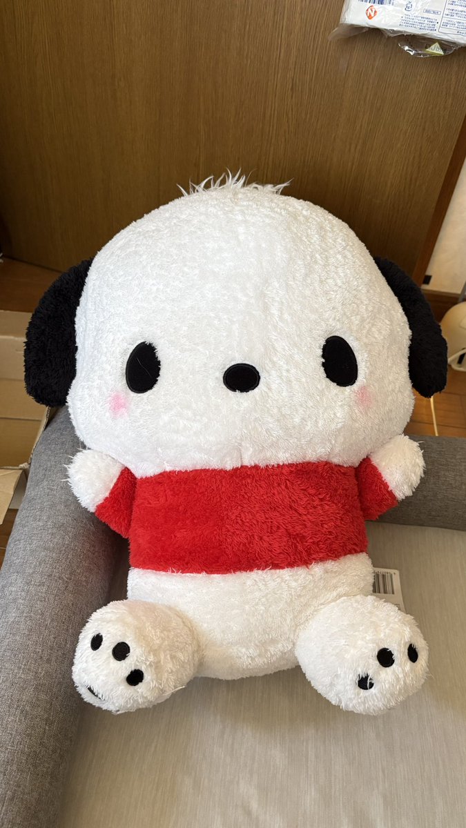 yamada_22_'s tweet photo. ポチャッコ https://t.co/qUCaLveuBP