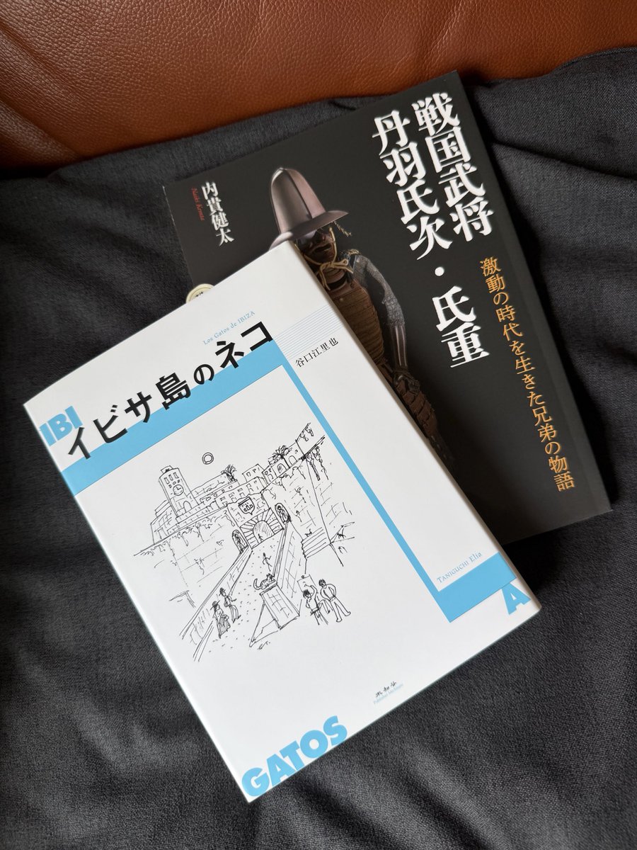RyoPokemonGO1's tweet photo. 読書の秋
yamaさんおすすめのイビサ島のネコと、ミスターこまながの丹羽氏次、氏重の本
買いました。届きました。
ゆっくり読みます。 https://t.co/T46uorkxtE