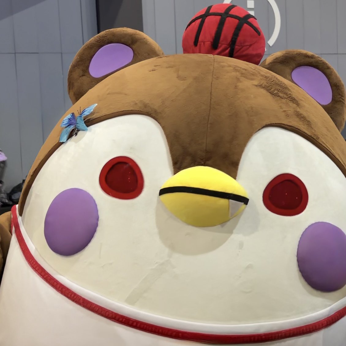 geonxinary's tweet photo. twin penguins 🤏🏻🐧🐧 https://t.co/9Y2dNPazGA