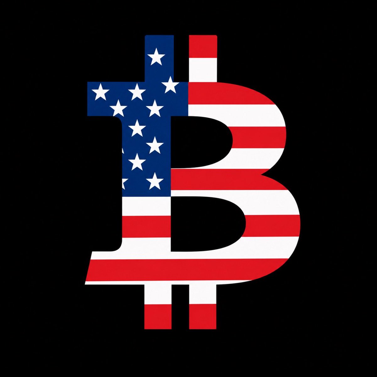 IIICapital's tweet photo. Bitcoin is the new American dream. https://t.co/I18FWV6pgD
