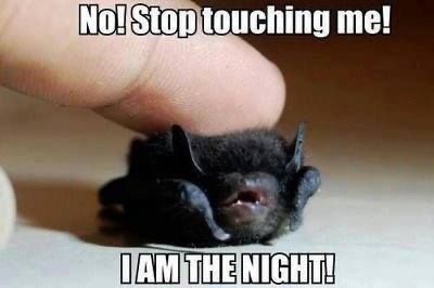 battwting's tweet photo. https://t.co/vpQY4GOHRM