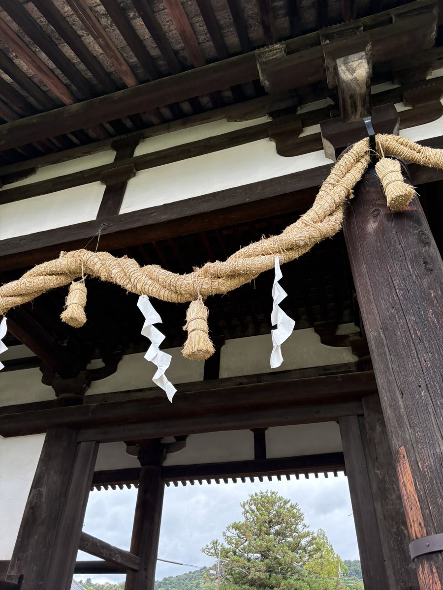 narakan_channel's tweet photo. 転害門って1300年の屋根からの雨雫で石階段に穴空いてるんですね！
今まで知らなかった😨 https://t.co/SNyw9MUW7w