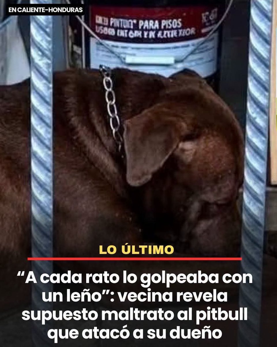 DobermanEdder's tweet photo. Ahhh, ahí cambia todo. Muy sospechoso que hubiera de la nada reaccionado así el animalito. PARA QUE PUT@SSS tienen perros y los van a tener encerrados en la casa y lo peor maltratados. https://t.co/YhbVQTwG8T