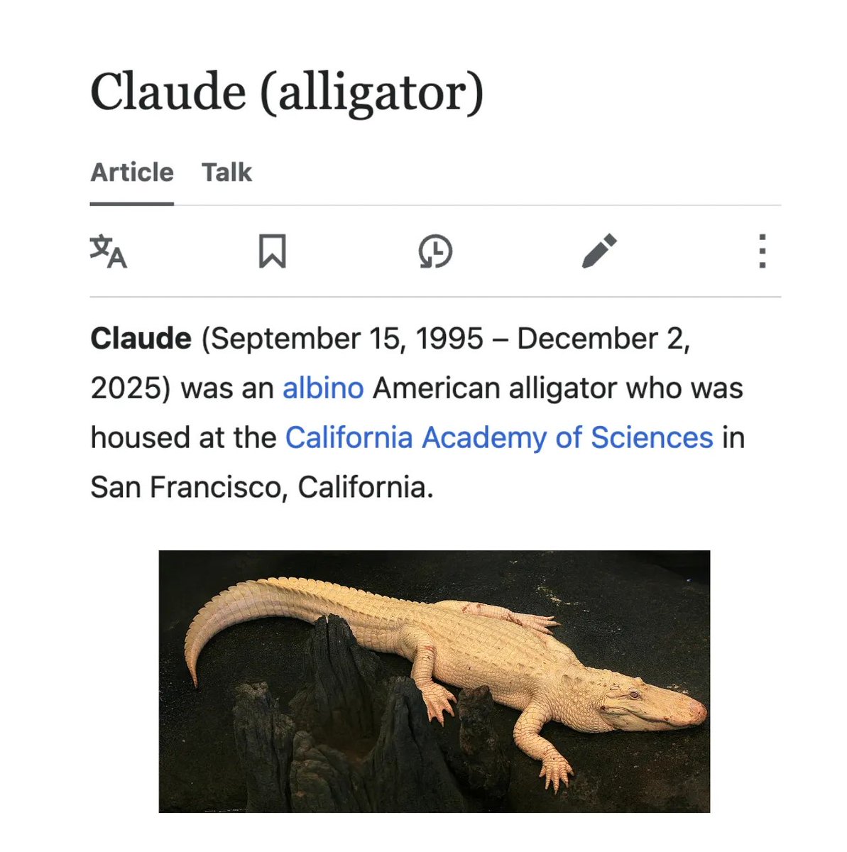 depthsofwiki's tweet photo. when i mention "claude" you can assume i'm talking about the albino alligator https://t.co/CwAeCEPhty