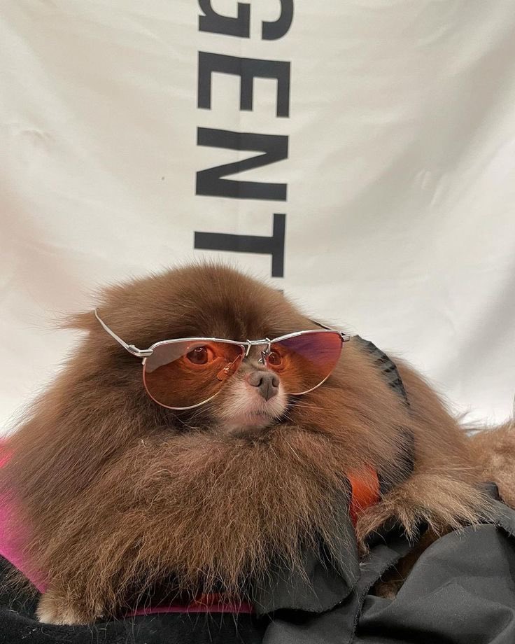 65kooki's tweet photo. the mom and son are twinning with those glasses https://t.co/2sB0T2npnA