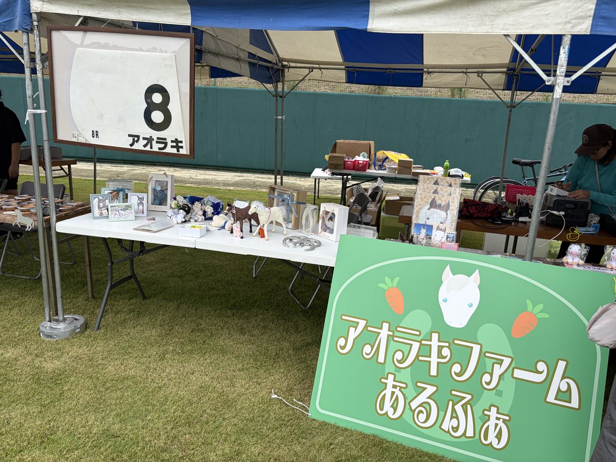 keibaoh's tweet photo. 美浦UMAフェスタにて、「アオラキファームあるふぁ」のブースにお邪魔しております！
「白毛のラテちゃんポストカードブック」限定版も販売しております！
会場にはラテちゃんのお姉ちゃん、ポウナム号も😄
美人さんです！ https://t.co/xTA8YArttf