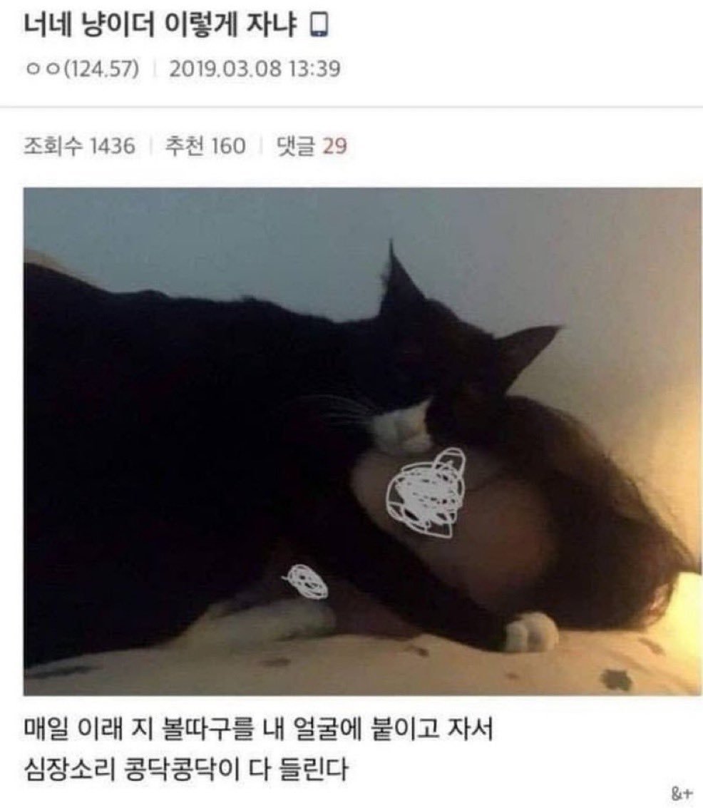o_ing____'s tweet photo. 너네 냥이더 이렇게 자냐
ㄴ매일 이래 지 볼따구를 얼굴에 붙이고 자서... https://t.co/OA3vfqy1at
