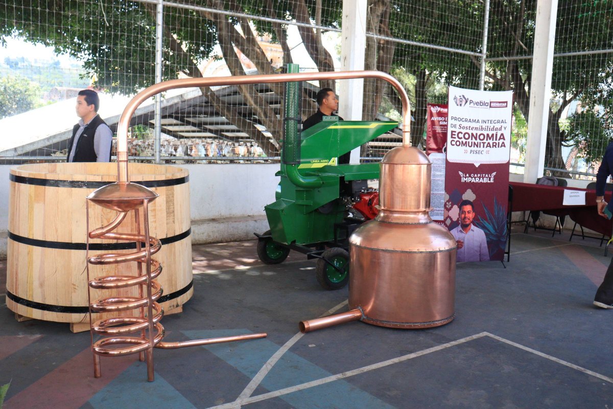JIvanHerrera_'s tweet photo. Junto al presidente municipal @pepechedrauimx, entregamos insumos, herramientas y capacitación a productores de mezcal, hongos y agave en San Andrés Azumiatla. 🌵

Con el programa #PISEC el @PueblaAyto impulsa la economía familiar y el desarrollo comunitario. 🤝🏻 🌱
#MedioAmbiente https://t.co/NcX4xjmxUQ