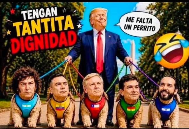Solomeodoor's tweet photo. @Daniel2ge @MashiRafael Ahora los narcos persiguiendo a los honestos .
No seas hijo del burro https://t.co/lkLibfy9Wa