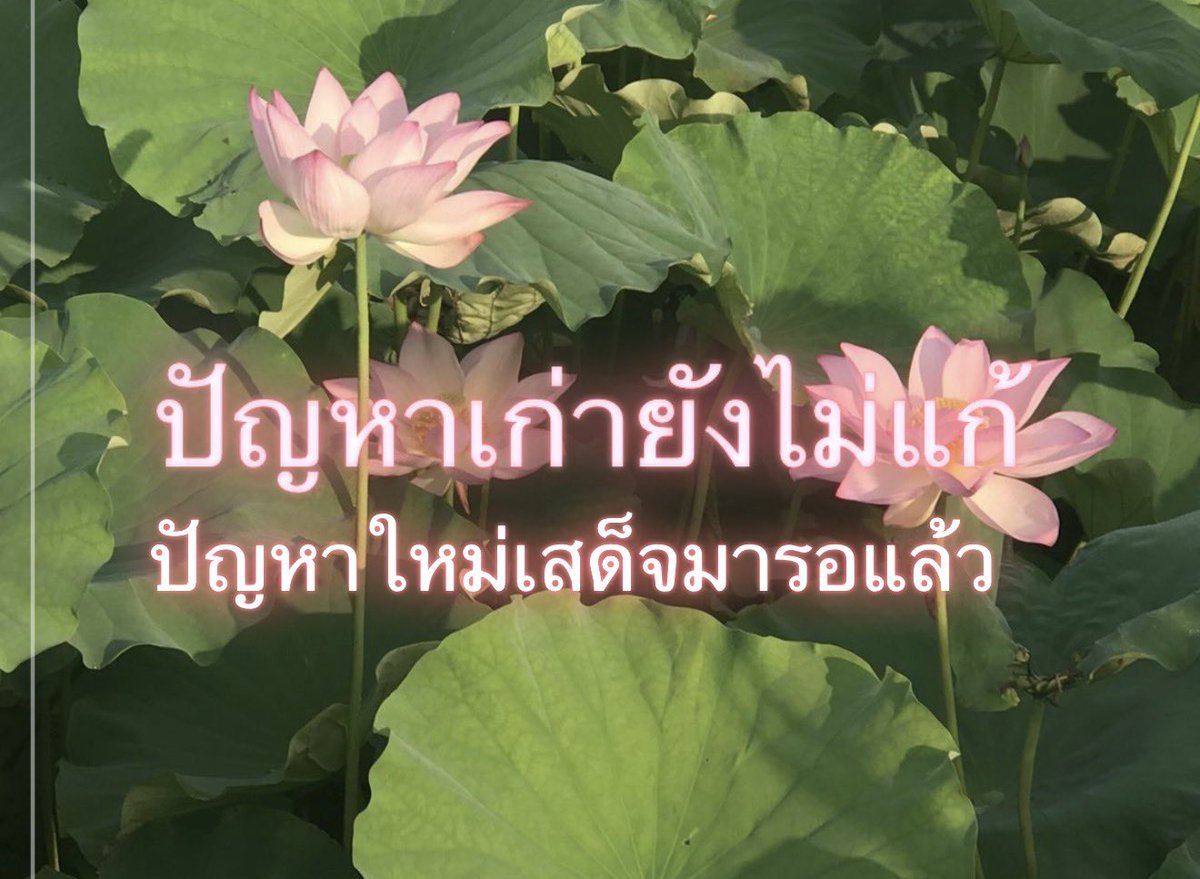Iaunza's tweet photo. https://t.co/sYpwCetsM9