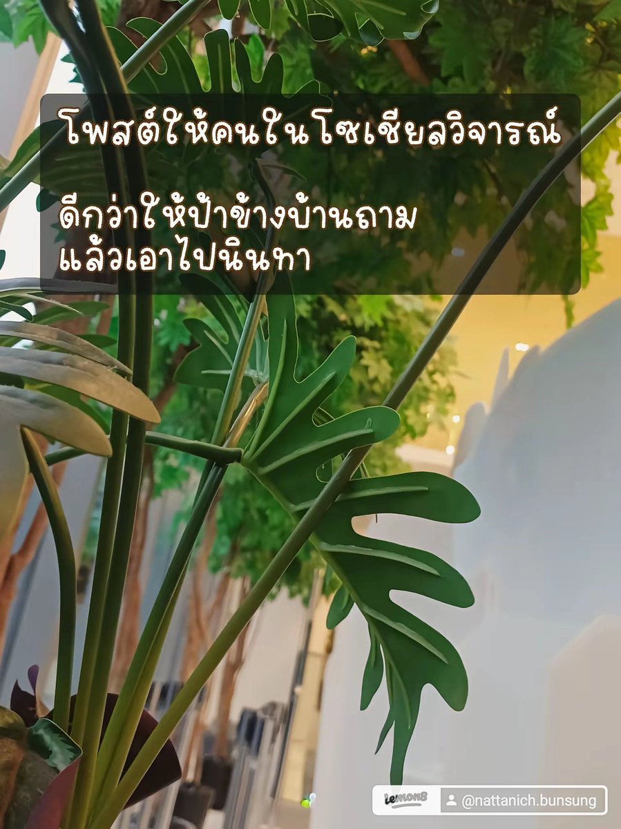 Nattvan's tweet photo. Morning 🌞🌄🌄 
ยังคงทำงานนะ ลุงยังคงไปเรื่อยๆ
เหมือนเดิม แมสเซนเจอร์เนาะ😁😅ต้องไปรับ-ส่ง ตามหน้าที่หาแวะห้องใครได��บ้าง? โพสต์มาหลายรอบแหละ ยังไม่มีทักมา ยัง....ยังจะโพสต์อีก🤣🤣
#เรียลทำงาน #fwbกทม #นัดเย็ด #สมุทรปราการ #สาวอวบ #ชายเดี่ยว https://t.co/UcHVIr09f2