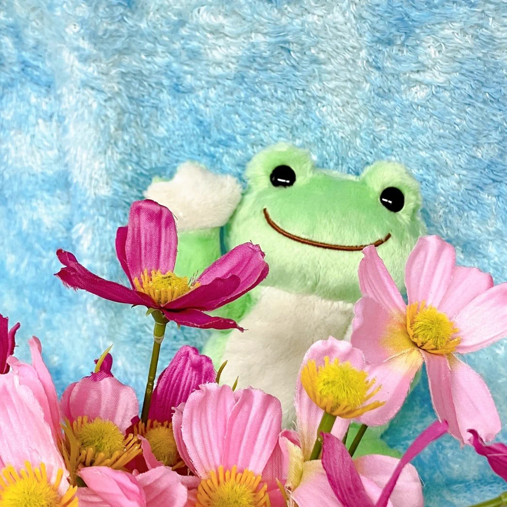 かえるのピクルス/pickles the frog (@picklesthefrog6) / X