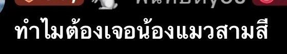 pnutinov's tweet photo. เพิ่งรู้ว่าดูพิมพ์ห้วนมาก แต่จริงๆคือรีบพิมพ์ㅜㅜ ตกใจด้วยเพราะว่าเพิ่งพูดเรื่องแมวสามสี ( กับน้นื ) ว่าเจอแล้วโชคดี ซึ่งจริงๆนี่เคยได้ยินมานานแล้ว แต่กลับมาอินอีกครั้งเพราะ mv น้องบิ๊ก แล้ว magic moment มากที่น้องแมวสามสีใน mv ชื่อเดียวกับนี่ มานแบบงืม🥺 https://t.co/ltnMOd3hRd