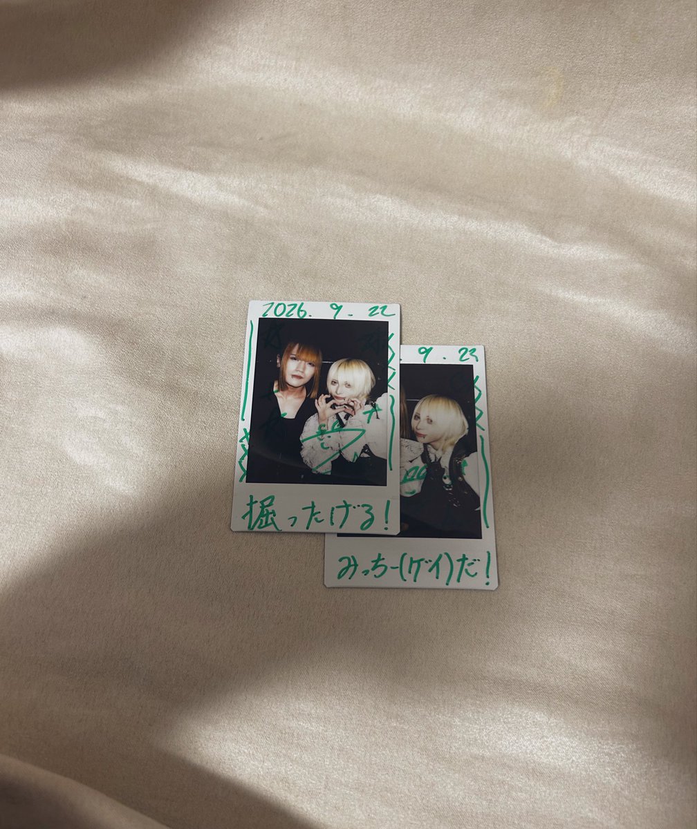 1121Mitchy's tweet photo. 初めてのセクト！
全く曲知らなかったけど、ビジュの良いお姉さんがいたので緑振ってた✨
（ゲイじゃないよ）

 #セクト https://t.co/fU4d4ovsoR