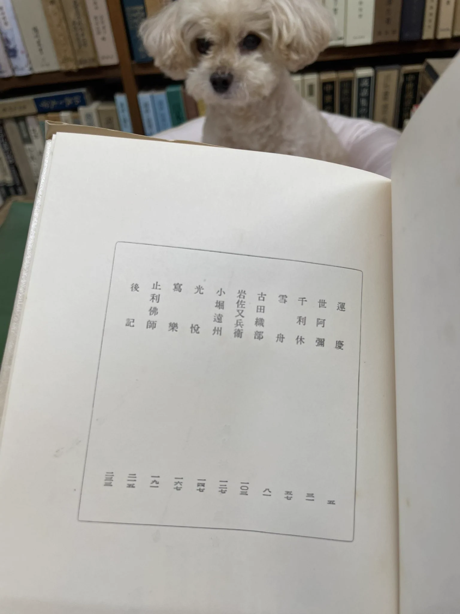 ガンバレ日本書房 on X: 