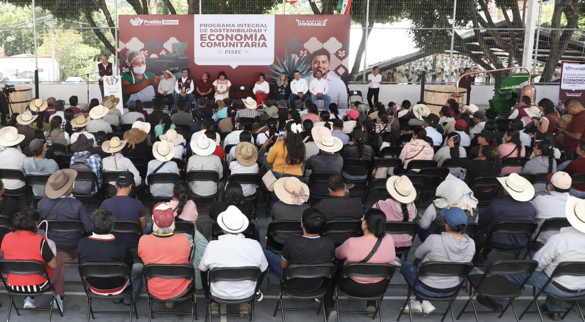 PueblaAyto's tweet photo. Con el liderazgo del presidente @pepechedrauimx y a través de la Secretaría de Bienestar y Participación Ciudadana, entregamos apoyos del programa #PISEC a 250 familias de productores mezcaleros y agrícolas en San Andrés Azumiatla.

Fortalecemos la economía familiar y reconstruimos el tejido social desde la comunidad. 🌱🤝